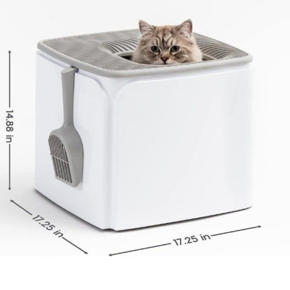 Top Entry Little Box - Picture 2 of 3